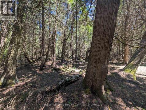 Point Lt 56 Con 4 Cape Hurd Road Northern Bruce Peninsula ON N0H 2R0