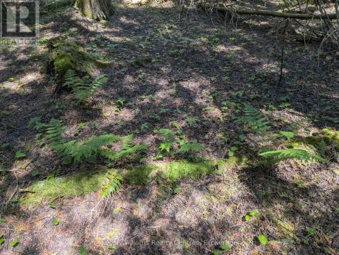 Point Lt 56 Con 4 Cape Hurd Road Northern Bruce Peninsula ON N0H 2R0