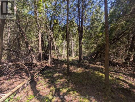 Point Lt 56 Con 4 Cape Hurd Road Northern Bruce Peninsula ON N0H 2R0
