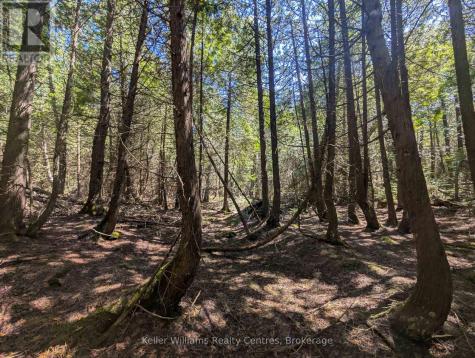 Point Lt 56 Con 4 Cape Hurd Road Northern Bruce Peninsula ON N0H 2R0