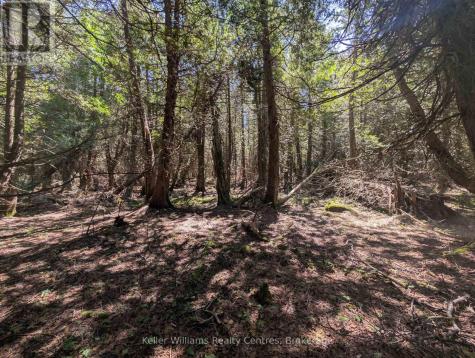 Point Lt 56 Con 4 Cape Hurd Road Northern Bruce Peninsula ON N0H 2R0