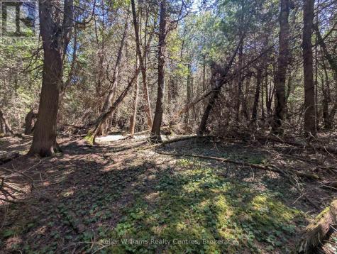 Point Lt 56 Con 4 Cape Hurd Road Northern Bruce Peninsula ON N0H 2R0