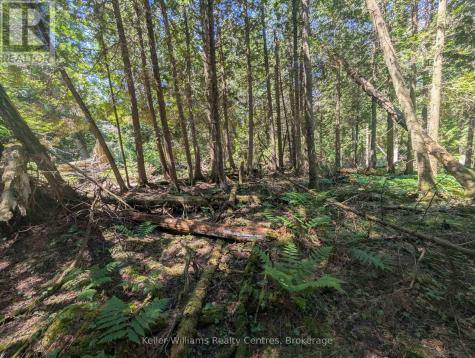 Point Lt 56 Con 4 Cape Hurd Road Northern Bruce Peninsula ON N0H 2R0