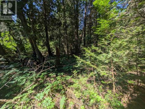 Point Lt 56 Con 4 Cape Hurd Road Northern Bruce Peninsula ON N0H 2R0