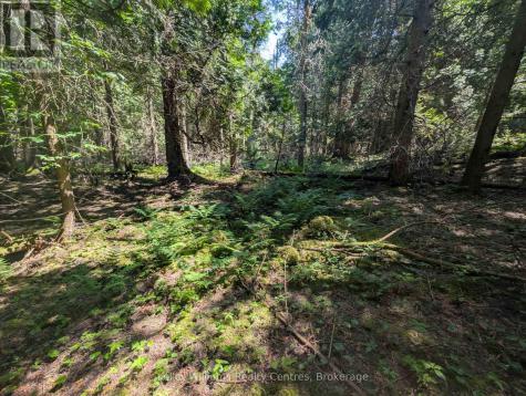 Point Lt 56 Con 4 Cape Hurd Road Northern Bruce Peninsula ON N0H 2R0