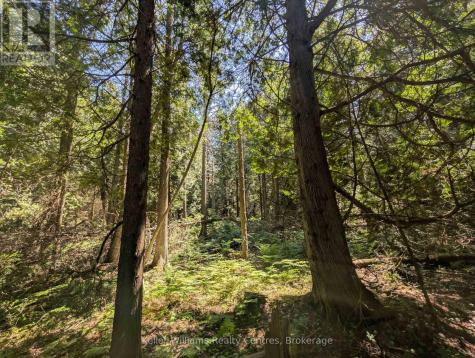Point Lt 56 Con 4 Cape Hurd Road Northern Bruce Peninsula ON N0H 2R0