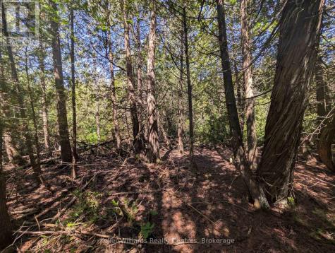 Point Lt 56 Con 4 Cape Hurd Road Northern Bruce Peninsula ON N0H 2R0