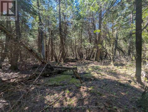Point Lt 56 Con 4 Cape Hurd Road Northern Bruce Peninsula ON N0H 2R0