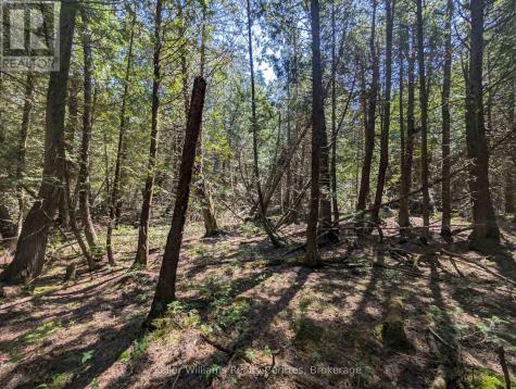 Point Lt 56 Con 4 Cape Hurd Road Northern Bruce Peninsula ON N0H 2R0