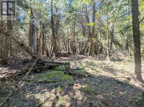 Point Lt 56 Con 4 Cape Hurd Road Northern Bruce Peninsula ON N0H 2R0