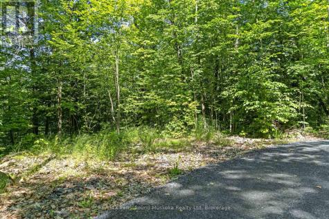 38 Fun Cottage Lane Mcdougall ON P2A 2W7