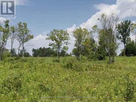 Lot 1 Victoria Beach Road Cramahe ON K0K 1S0