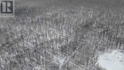 Lot 22 Sideroad 22 Meaford ON N4K 5W4