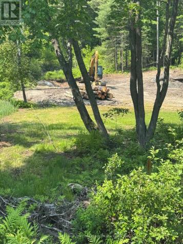 98 Louisa Street Parry Sound ON P2A 3C1