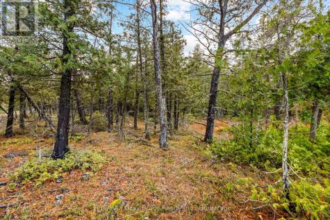 660 Dorcas Bay Road Northern Bruce Peninsula ON N0H 2R0