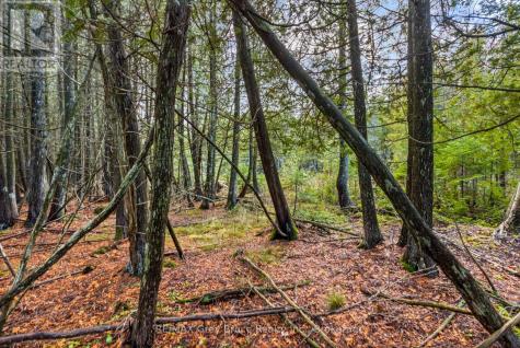 660 Dorcas Bay Road Northern Bruce Peninsula ON N0H 2R0