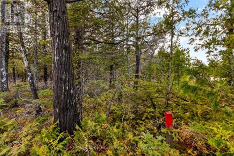 660 Dorcas Bay Road Northern Bruce Peninsula ON N0H 2R0