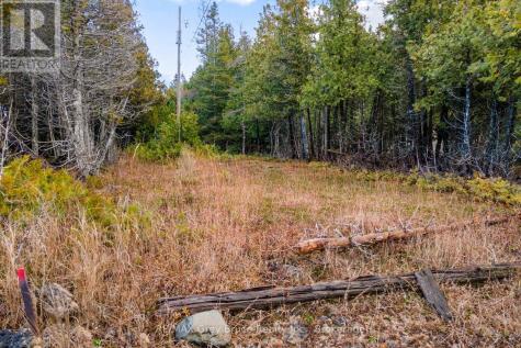 660 Dorcas Bay Road Northern Bruce Peninsula ON N0H 2R0