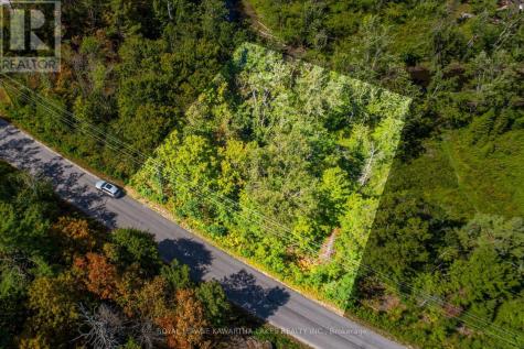 Point Lot 36 Edwina Drive Trent Lakes ON K0M 1A0