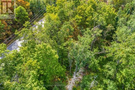 Point Lot 36 Edwina Drive Trent Lakes ON K0M 1A0
