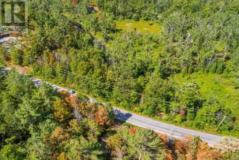 Point Lot 36 Edwina Drive Trent Lakes ON K0M 1A0