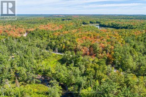 Point Lot 36 Edwina Drive Trent Lakes ON K0M 1A0