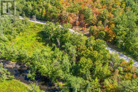 Point Lot 36 Edwina Drive Trent Lakes ON K0M 1A0