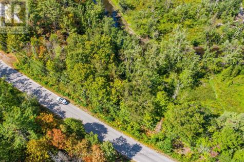 Point Lot 36 Edwina Drive Trent Lakes ON K0M 1A0