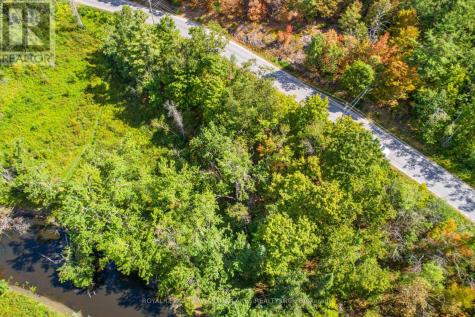 Point Lot 36 Edwina Drive Trent Lakes ON K0M 1A0