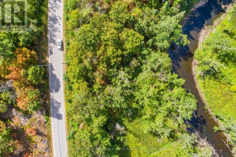 Point Lot 36 Edwina Drive Trent Lakes ON K0M 1A0