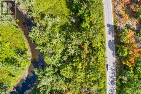 Point Lot 36 Edwina Drive Trent Lakes ON K0M 1A0