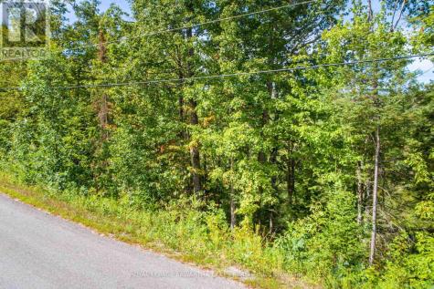 Point Lot 36 Edwina Drive Trent Lakes ON K0M 1A0