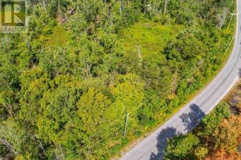 Point Lot 36 Edwina Drive Trent Lakes ON K0M 1A0