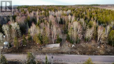 Lot 5 Eric Street Bonfield ON P0H 1E0