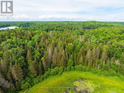 7281B Highway 124 Magnetawan ON P0G 1G0