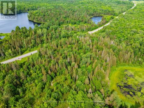 7281B Highway 124 Magnetawan ON P0G 1G0
