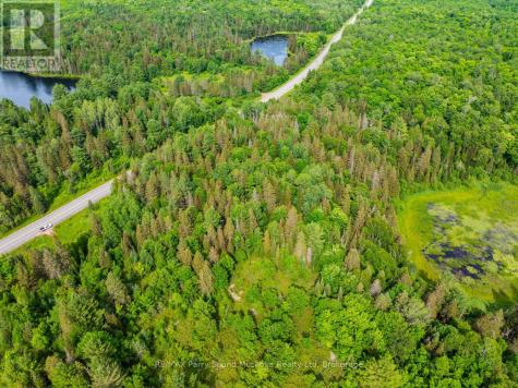 7281B Highway 124 Magnetawan ON P0G 1G0
