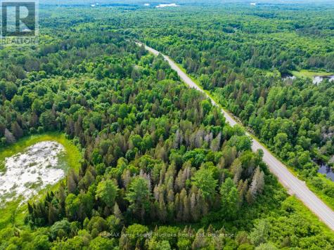 7281B Highway 124 Magnetawan ON P0G 1G0