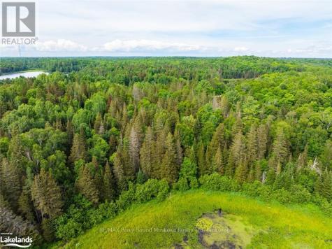 7281A Highway 124 Magnetawan ON P0G 1G0