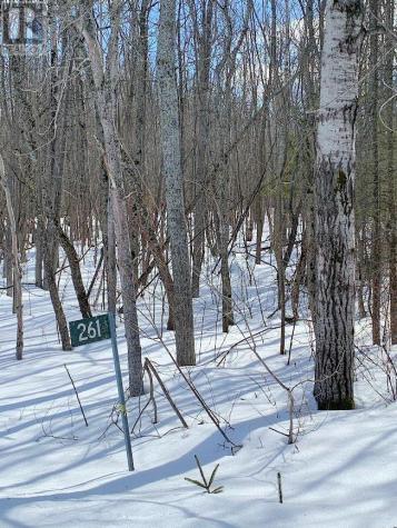 261 4 Th Line Gore Bay ON P0P 1H0