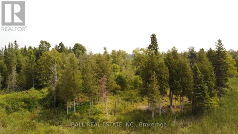 892 County Road 40 Douro-dummer ON K0L 2V0