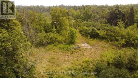 892 County Road 40 Douro-dummer ON K0L 2V0
