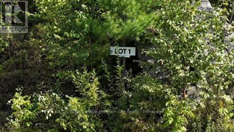 Lot 1 Fox Run Road Temagami ON P0H 2H0