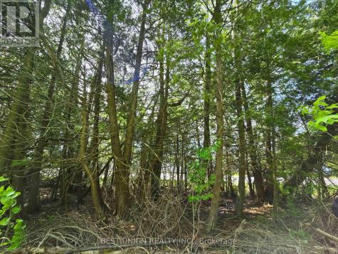 LOT1 Red Bay Road South Bruce Peninsula ON N0H 2T0
