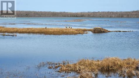 LOT1 Red Bay Road South Bruce Peninsula ON N0H 2T0