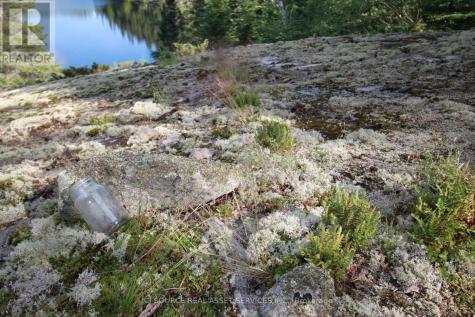 Loc S 751 W Of Beer Lake Kenora ON V1Y 9S9