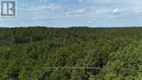 Lot 8 Fox Run Drive Temagami ON P0H 2H0