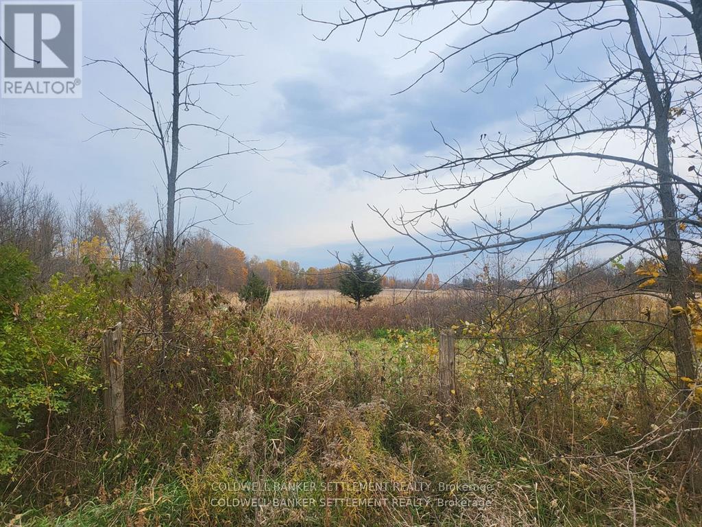 Lot 3 Bush Road Rideau Lakes ON K0G 1E0