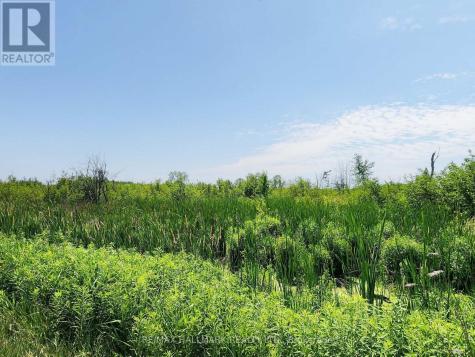 20200 Highway 48 East Gwillimbury ON L0G 1M0