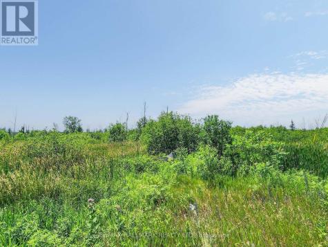 20200 Highway 48 East Gwillimbury ON L0G 1M0